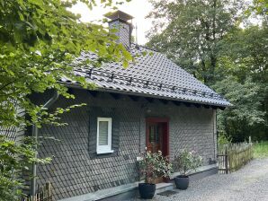 Ferienhaus Wildbeere - Brilon - image1