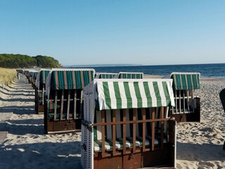 Apartamento de vacaciones Großenbrode Entorno 21