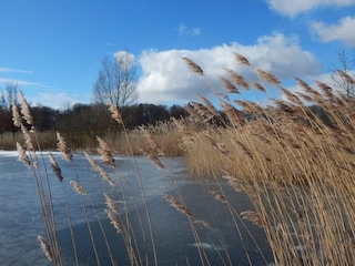 Spaziergang am Flessensee