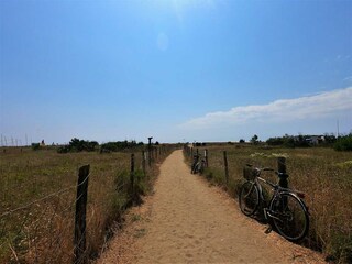 Casa per le vacanze Pietrasanta Ambiente 36