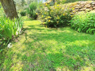 Maison de vacances Pietrasanta Enregistrement extérieur 29