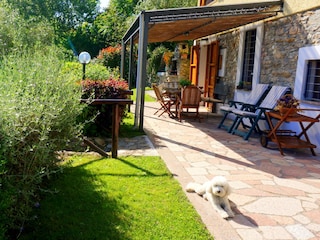 Ferienhaus Pietrasanta Außenaufnahme 23