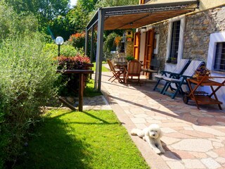 Vakantiehuis Pietrasanta Buitenaudio-opname 23