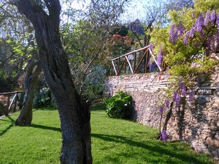 Vakantiehuis Pietrasanta Buitenaudio-opname 9