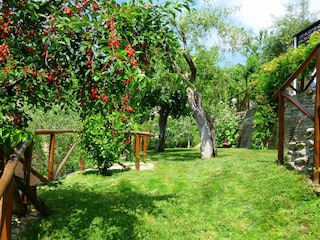 Casa per le vacanze Pietrasanta Registrazione all'aperto 25