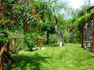 Vakantiehuis Pietrasanta Buitenaudio-opname 28