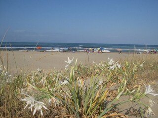 Casa per le vacanze Pietrasanta Ambiente 43