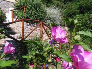 Maison de vacances Pietrasanta Enregistrement extérieur 29