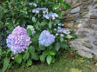 Maison de vacances Pietrasanta Enregistrement extérieur 28
