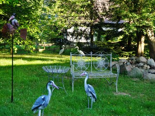 Holiday apartment Ribnitz-Damgarten Outdoor Recording 6