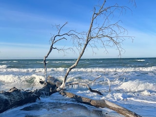 Ferienhaus Wustrow Umgebung 37