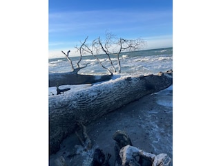 Ferienhaus Wustrow Umgebung 38