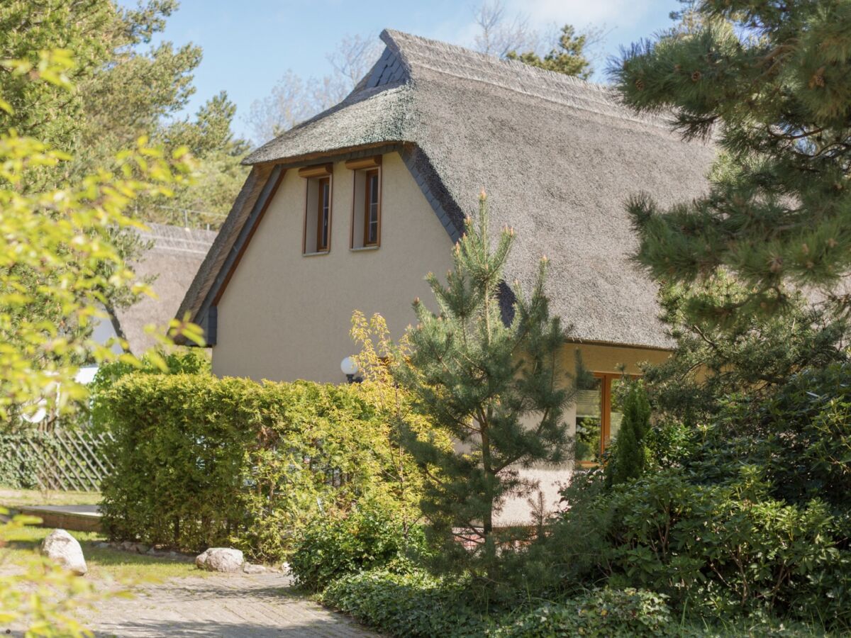 Ferienhaus Schroder Wustrow Firma Michalkowski Schroder Gbr