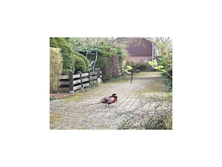 Casa de vacaciones Schoorldam Grabación al aire libre 1