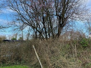 Casa per le vacanze Schoorldam Registrazione all'aperto 4