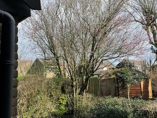 Casa per le vacanze Schoorldam Registrazione all'aperto 6