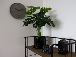 Vakantieappartement Egmond aan Zee Buitenaudio-opname 6