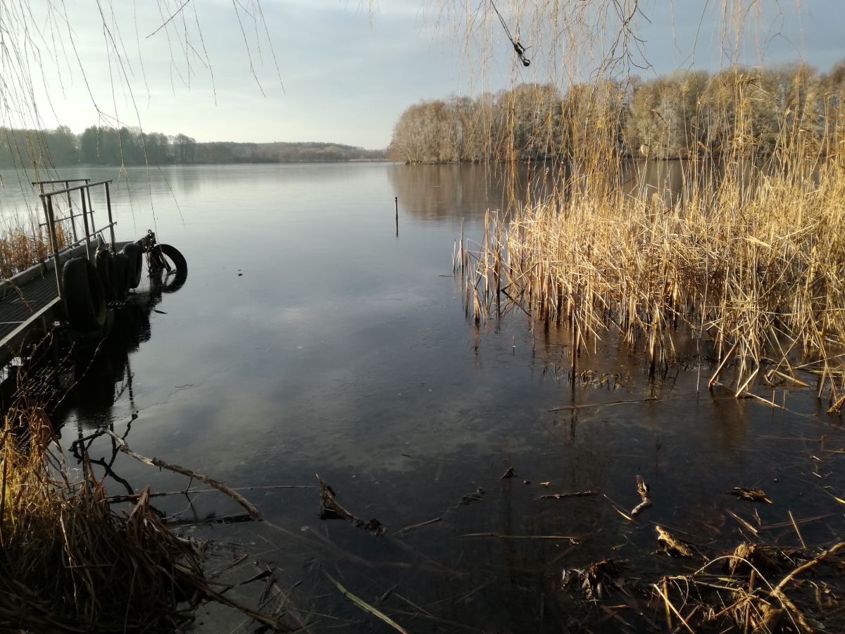 Schwielochsee im Winter