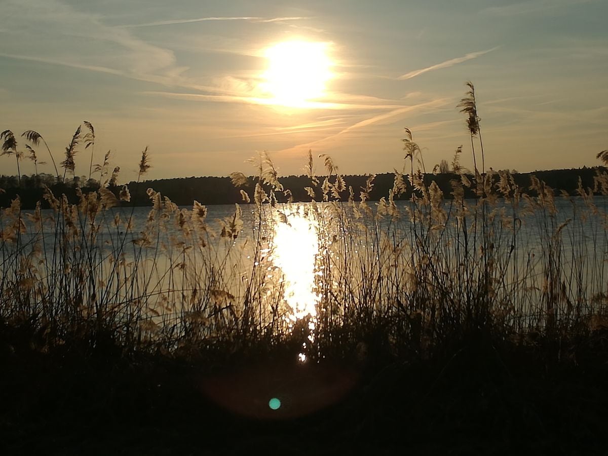 Sonnenuntergang am Schwielochsee