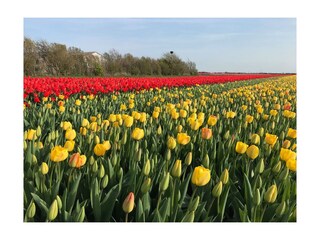 Casa per le vacanze Den Helder Ambiente 27