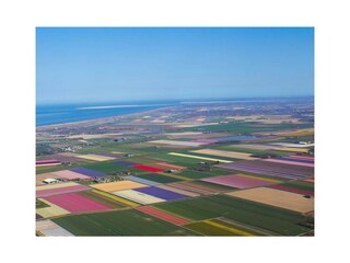 Casa per le vacanze Den Helder Ambiente 28