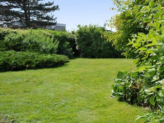 Ferienhaus Neujellingsdorf Außenaufnahme 2