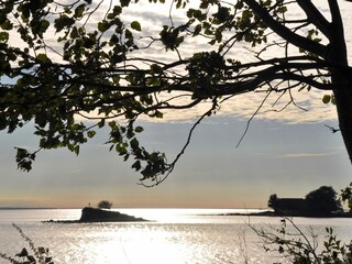 Ferienhaus Neujellingsdorf Außenaufnahme 46