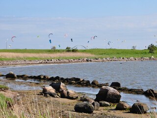 Ferienhaus Neujellingsdorf Außenaufnahme 48