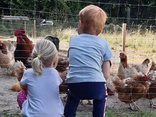 Holiday house Leibnitz Outdoor Recording 27