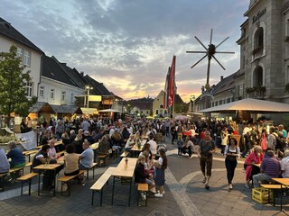 Vakantiehuis Leibnitz Kenmerken 36