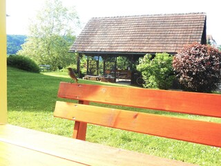 Vakantiehuis Leibnitz Buitenaudio-opname 17