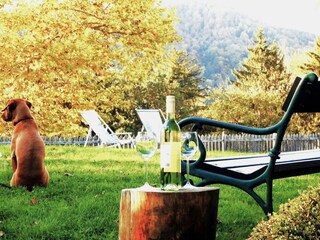 Casa per le vacanze Leibnitz Registrazione all'aperto 22