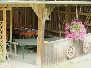 Holiday house Leibnitz Outdoor Recording 28