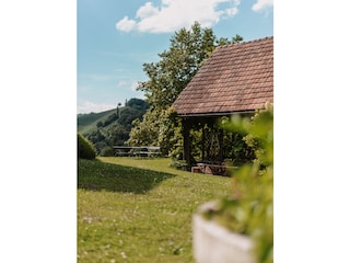Der Garten mit der überdachten Weinlaube
