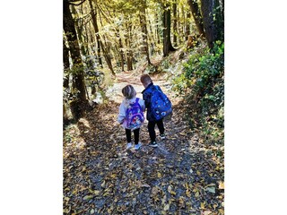 Casa per le vacanze Leibnitz Caratteristiche 36