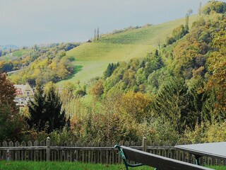 Ausblick vom Garten zum Weingut Silberberg