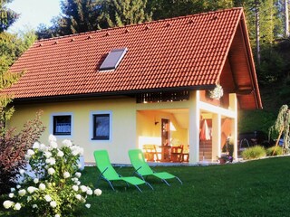 Das Ferienhaus mit Garten