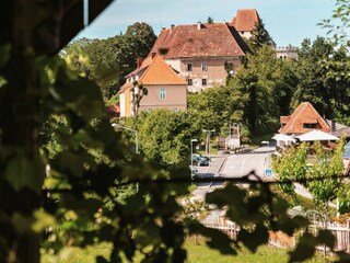 Vakantiehuis Leibnitz Kenmerken 26