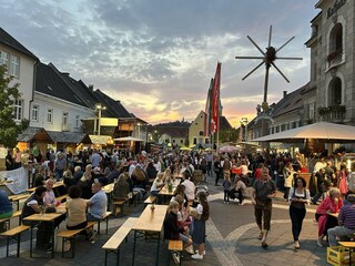 Vakantiehuis Leibnitz Keuken 33