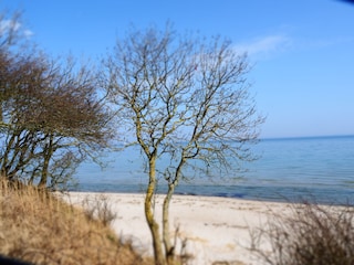 Ferienwohnung Gelting Umgebung 22