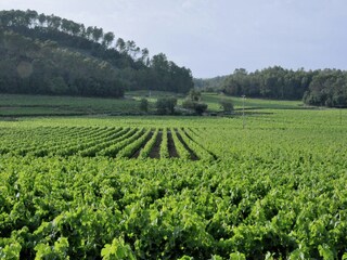 Maison de vacances Lorgues Environnement 38