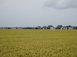 Feldblick zum "Nordlicht"