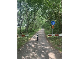 Appartamento per vacanze Callantsoog Ambiente 31