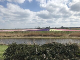 Vakantieappartement Callantsoog Omgeving 28