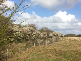 Appartamento per vacanze Callantsoog Ambiente 29