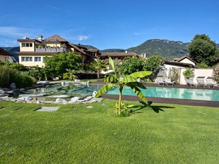 Apartment Nals Outdoor Recording 1