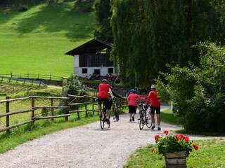 with the bicycle