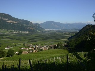 Rosen- und Weindorf Nals bei Meran