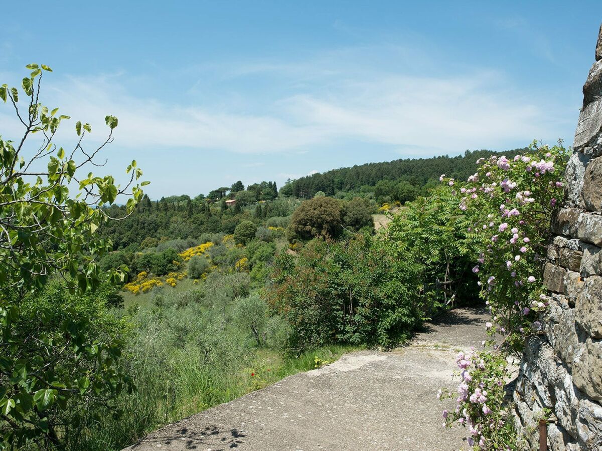 Ferienhaus Pelago Umgebung 18