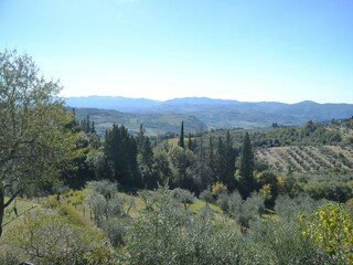 Vakantiehuis Pelago Buitenaudio-opname 3